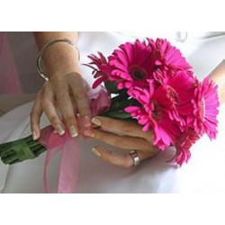 Gerbera Handtied Bouquet